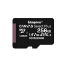 Kingston Carte mémoire MicroSDXC 256GB +Adapter