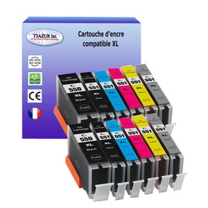 Lot de 12 Cartouches Compatibles pour Canon PGI-550 XL, CLI-551 XL (2Bk/2PBk/2C/2M/2Y/2GY) - T3AZUR